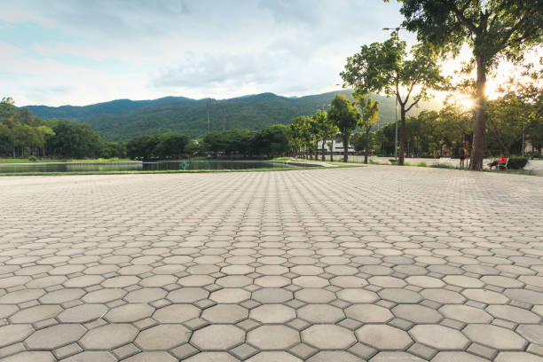 Residential Paver Driveway in Justin, TX